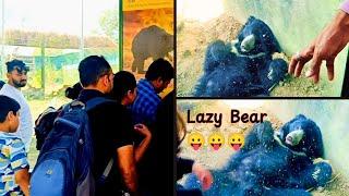 Lazy Bear  Jungle Safari - Statue of unity in gujrat| Travel Vlog #statueofunity #junglesafari #yt