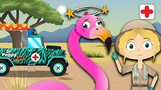 Dr Poppy Helps Uma The Flamingo & More Animals For Kids | Toddler Fun Learning | Animal Videos