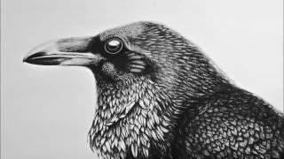 LARRY HINZE PODCAST   "A Group Called Crow"   HQ