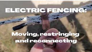 HOW TO Restring an ELECTRIC Fence for your Paddock and Pasture.