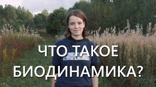 Что такое биодинамика?