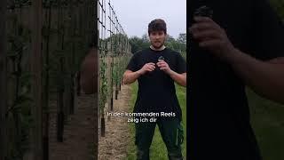 #self-sufficient #gardentips #diy #organicfarming #gardenideas