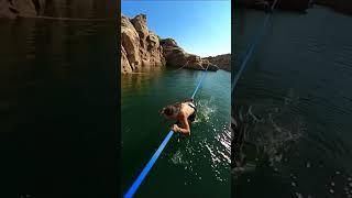 Going wild on a waterline#shorts#short#shortsvideo