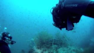 Diving in Koh Tao (Chumpon Pinnacle - Thailand) GoPro