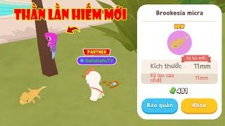 (Play Together) Nhiều Thằn Lằn Hiếm "Rất Lì Lợm" Và Khó Bắt "Săn Full Từ Điển"