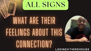 ALL SIGNS”WHAT ARE THEIR FEELINGS ABOUT THIS CONNECTION?”