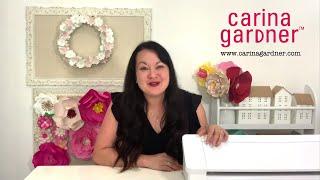 Carina Gardner Silhouette Video Tutorials