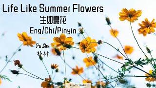 [Eng/Chi/Pinyin] A Life Like Summer Flowers - Pu Shu (Sheng Ru Xia Hua 生如夏花 - 朴树) Lyric Video