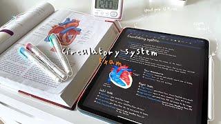 study with me️| med student, circulatory system notes, goodnotes5, ipad pro 12.9inch, paperlike