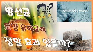 방선균의 선충 및 토양병원균 방제효과