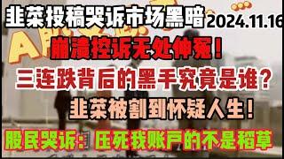 2024.11.16 压死骆驼最后一根稻草 中国A股的行情可以说让人瞠目结舌：连续三天暴跌，千股跌停，韭菜股民投稿哭诉市场不公正 不透明 而最终的“冠军”毫无疑问是广大韭菜的辛酸眼泪 #中国 #股市