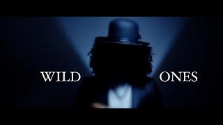 Wild Ones feat J.Pollock (Official Video)