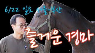 김호경마 6월 22일 일요일 서울-부산 경마방송!