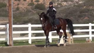 Correcting the overflexion in the horse's neck