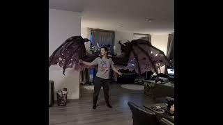 Animatronic costume wings