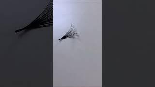 Using Lashmer Silk Volume Lashes to make fans #lashtrainer  #lashes