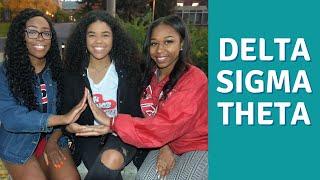 Delta Sigma Theta Sorority Inc. (MGRW Yardshow 2018)