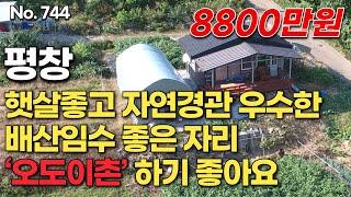 [평창편] 햇살좋고 자연경관 우수한 배산임수 좋은 자리 ‘오도이촌’ 하기 좋아요/ 8천8백 만원