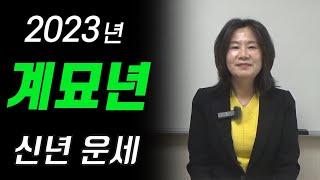 2023년 계묘년 일간별 운세 (자막을 켜고 보세요)