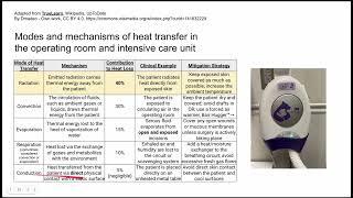 Modes and mechanisms of heat transfer in the operating room and intensive care unit