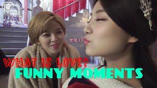 TWICE Funny Moments ●What is Love Edition● [ENG SUB]