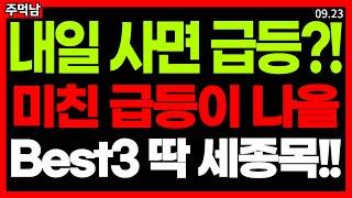 내일 사면 수익? 이 '3가지 종목' 매수 기회 노려보세요. 테마주 급등주 주식추천 추천주 금투세 해리스 관련주 신재생에너지 관련주 태양광 관련주 로보택시 관련주 주가전망 목표가