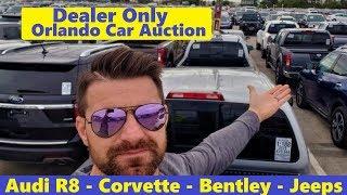 Deals or Rip Off? A day at a dealer only Car Auction