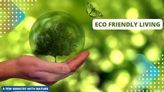 Simple Changes for a Sustainable Future | Eco friendly living