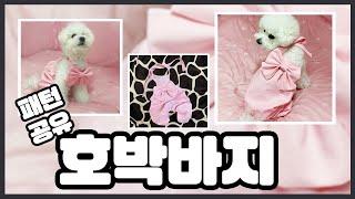 강아지호박바지만들기/미싱없이 강아지옷만들기 (패턴공유)/Diy Puppy Pumpkin Pants