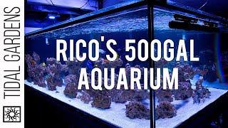 Rico's Aquariums New 500g Reef Tank Update