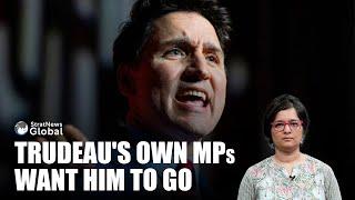 #Trudeau Faces Revolt In His Own Party: 50 MPs Want Him To Resign | #canada #government #politics