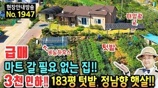 (급매) 마트 갈 필요 없는 집 183평 넓은 텃밭 전원주택 매매 햇살 가득한 남향의 다양한 작물과 깔끔한 내외부 고급 자재 다양한 과실수 태양광 태안부동산 - 발품부동산TV