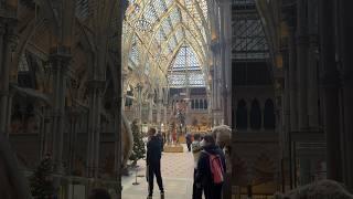 Natural History Museum, Oxford #naturalhistory #museum #oxford #youtubeshorts