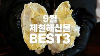 [더꽃게] 9월 제철 해산물 BEST3 & 명절 선물 BEST4