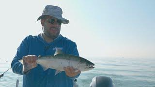  LIVE - Salmon Are In Close! | Lake Michigan Fishing Report 10/26/24