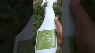 How to grow your plants without any pests| #greeneem #ytshorts