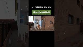 the 9th MORIaN villa #shorts #paju #villa