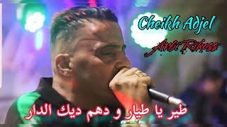 cheb Adjel 2022 أجمل أغاني الشاب العجال  by studio 27 plus  