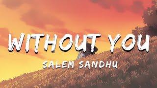 Without You - Salem Sandhu | Lyrical Video | ta editor