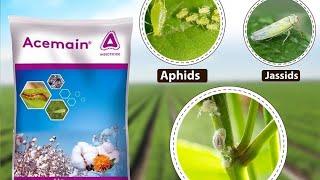 Adama Acemain (Aceohate 75% SP) Insecticide