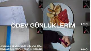 Merhaba YouTube l ödev günlüklerim l Sessiz vlog l ZEYNEP S DİARY