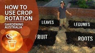 How to use crop rotation