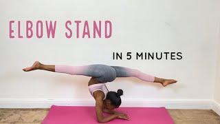 How To Do An Elbow Stand In 5 Minutes! | Minyah