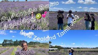 NEW ZEALAND TAMIL VLOG:LAVENDER FARM VISIT/SCHOOL HOLIDAY FUN/NZ PLACES TO VISIT/NZ LIFESTYLE