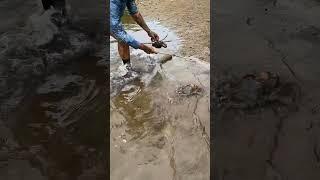 A Big One againg catching in sea , Gaint Crab #crab #amazing #shorts #viralvideo #ytshorts #trending