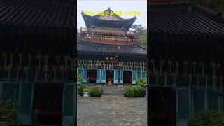 #백천사#소원성취 #나무관세음보살 #korea