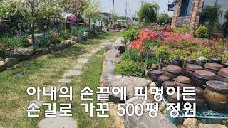 아내의 손끝에 피멍이든 손길로 가꾼 명품 500평의 야생화 정원