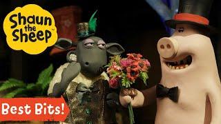 Shaun the Sheep Season 5 Best Bits  | Ultimate Compilation!