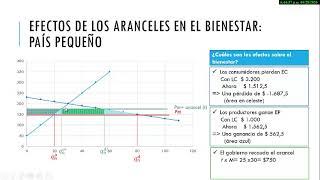 Unidad 6. Aranceles. Efectos en el bienestar. Parte 3 de 3 (TCFI)