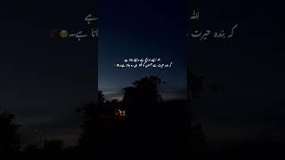 "Way of Hidayah – Your Path to Islamic Knowledge, Faith & Guidance"